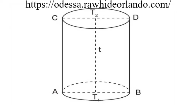 Panduan Lengkap Menghitung Luas Permukaan Tabung